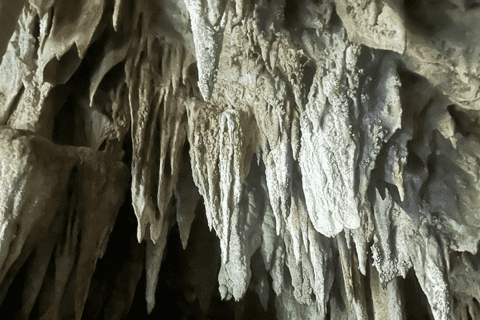 Siargao: Island Hopping with Lunch and Magkukuob Cavern - Image 3