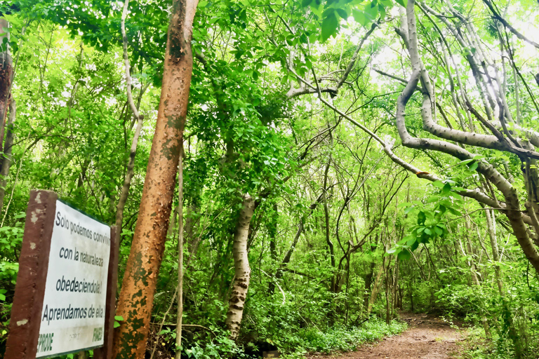 El Salvador: San Diego Volcano Crater Guided Hike