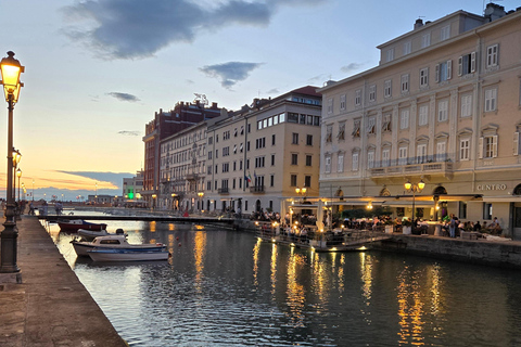 Trieste & Miramare Castle: Private Italy Trip from Vienna