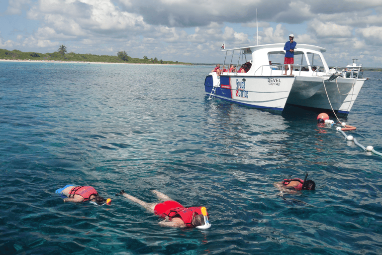 Tour dell&#039;isola di Saona di un giorno intero con pranzo da Punta Cana