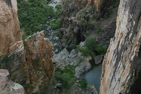 كريسوتيل أريزونا: رحلات على الطرق الوعرة إلى مناظر خلابة لوادي ريجال