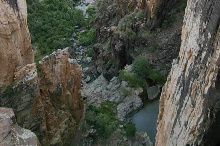 كريسوتيل أريزونا: رحلات على الطرق الوعرة إلى مناظر خلابة لوادي ريجال