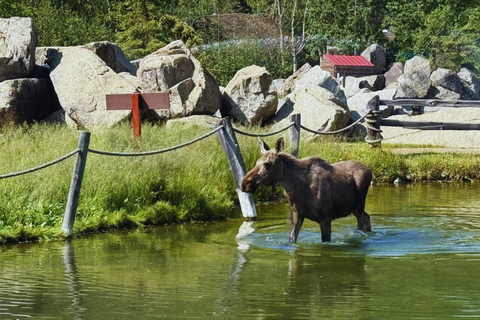 Fairbanks: Chena River Guided Raft Float Tour