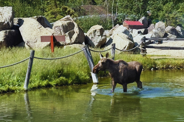Fairbanks: Chena River Guided Raft Float Tour