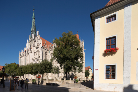 Mühlhausen: Old Town Guided Walking Tour