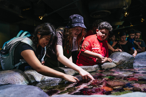 Acuario del Pacífico, LA: ticket sin colas en la taquilla