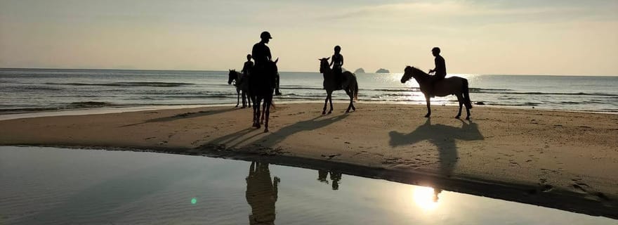 Koh Samui : une heure de promenade à cheval sur les rives de Taling Ngam