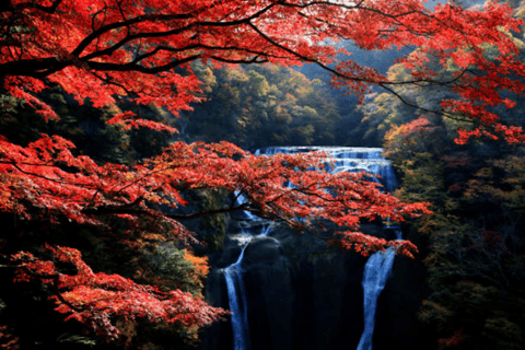 Visite touristique de Nikko en charter privé avec guideDepuis Tokyo : Nikko visite privée d'une journée