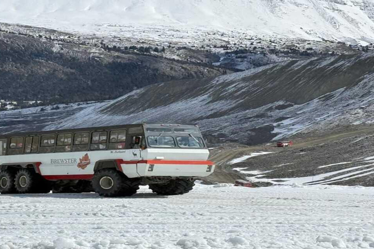 Columbia-ijsveld, Skywalk, Crowfoot-gletsjer en meren-tourCanmore: Columbia Icefield, Crowfoot-gletsjer en meren: tour