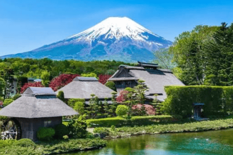 From Tokyo: Mount Fuji Full Day Customizable Private Tour