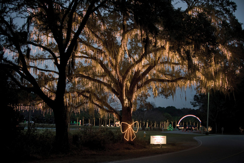 Charleston: Holiday Festival of Lights Tour with S'mores Kit
