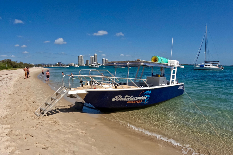 Cruzeiro de Pelicanos de Surfers Paradise para Wavebreak Island + piquenique