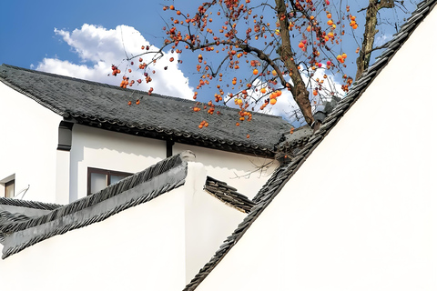 Shanghai: Wuzhen West Scenic Area & Wucun Day Trip