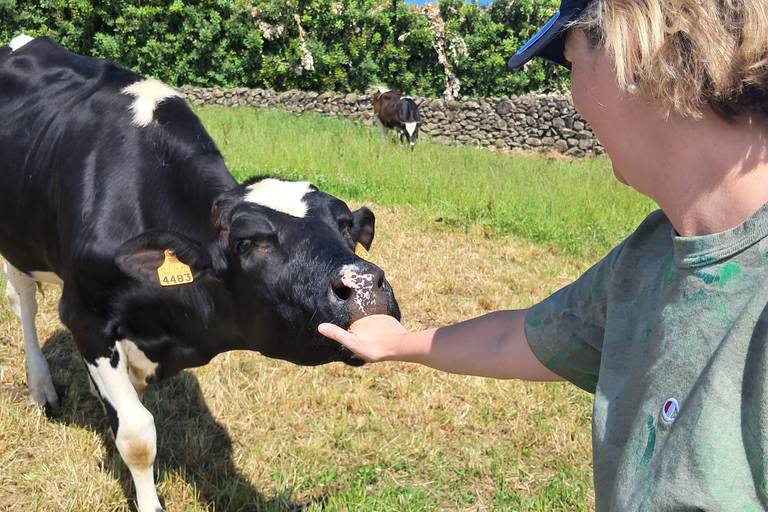 Azores: Half-Day Dairy Farm Tour