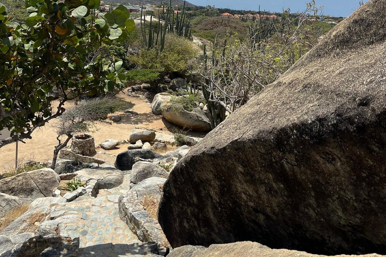 Aruba: Excursión guiada de exploración de la campiñaAruba: Excursión por el campo