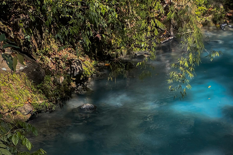 Tubulação no Rio Celeste: Experiências na natureza e águas azuisTubulação no Rio Celeste, aventura e natureza