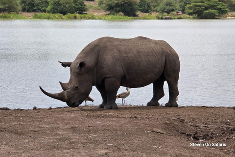 Nairobi National Park Game Drive Private half Day Tour