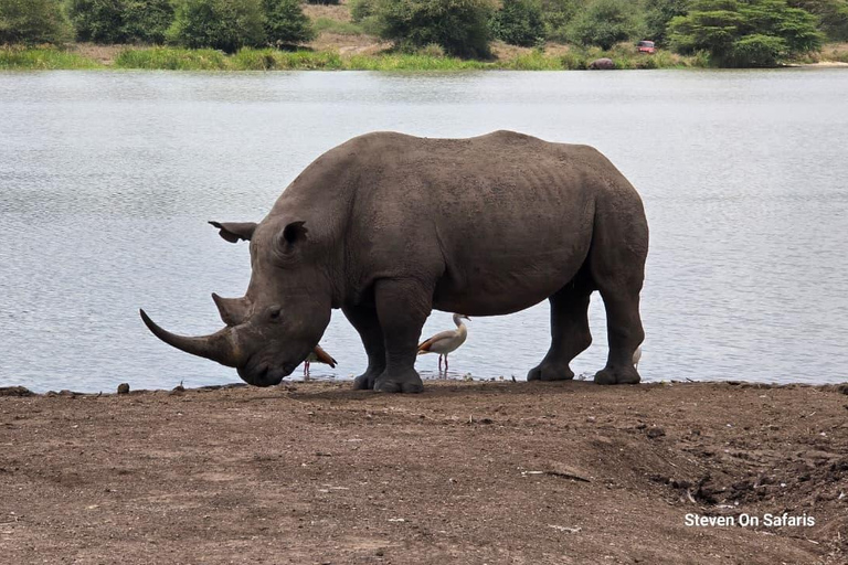 Nairobi National Park Game Drive Private half Day Tour