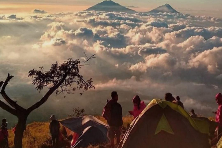 Monte Sumbing: un'epica avventura di trekking e campeggioSumbing: escursione di 1 giorno con NepalVanJAVA / pernottamento con Garung