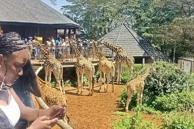 Nairobi: Elephant Orphanage & Giraffe Centre Tour Elephant Orphanage & Giraffe Centre Tour Without Entry Fee
