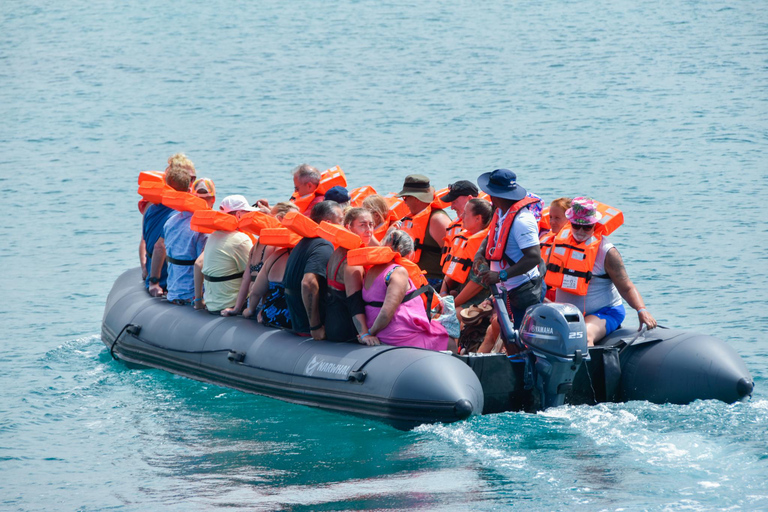 Boa Vista Catamaran Tour: All Inclusive Bay CruiseAdults Only - Boa Vista Catamaran Tour: All Inclusive