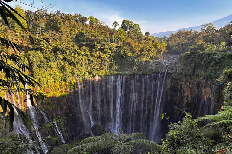 Tumpak Sewu : excursion privée d&#039;une journée depuis Surabaya ou MalangCascade de Tumpak Sewu : excursion privée d&#039;une journée depuis SURABAYA