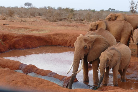 Safári de 2 dias e 1 noite em Tsavo East saindo de Diani/Mombasa