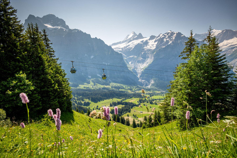 Depuis Zurich : Grindelwald en téléphérique et Interlaken