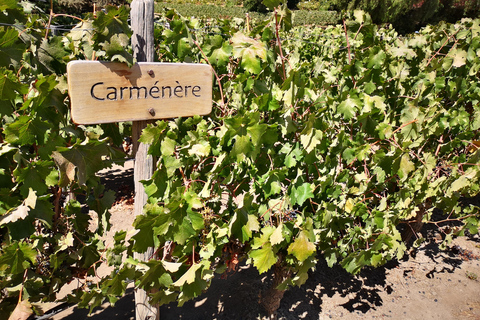 Concha y Toro Uitgebreide Tour met 7 proeverijen en Lapis Lazuli