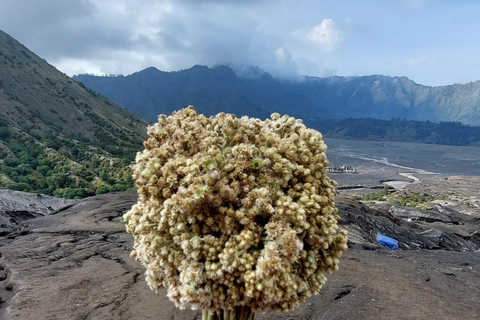 Mt.Merbabu Zonsopgang Trektocht 2 Dagen 1 NachtVan Yogyakarta Mt.Merbabu trektocht