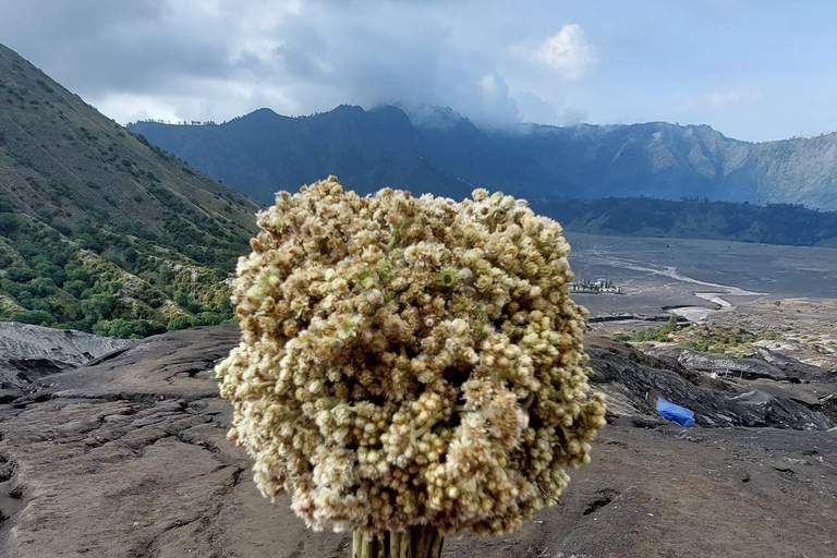 Mt.Merbabu Sunrise Trekking Tour 2 Days 1 Night From Yogyakarta Mt.Merbabu Trekking Tour