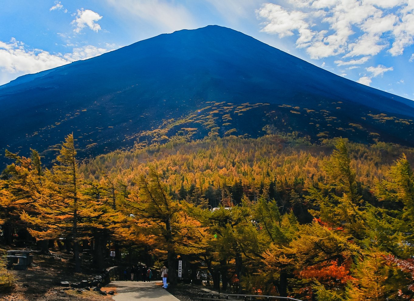 Tokyo: Fuji-bjerget, Hakone, krydstogt ved Ashi-søen og Bullet Train