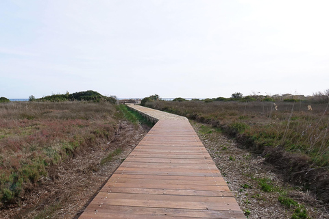 Catania: Vendicari, Marzamemi and Noto Day Trip