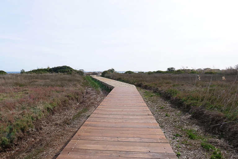 Catania: Vendicari, Marzamemi and Noto Day Trip