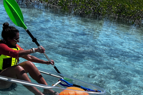 Providenciales Mangrove Kayak Tour With Turtle Sightings
