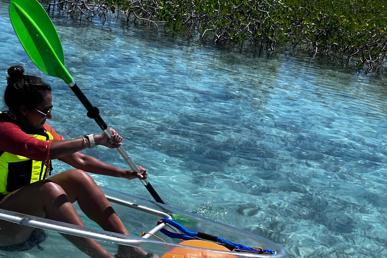 Providenciales Mangrove Kayak Tour With Turtle Sightings