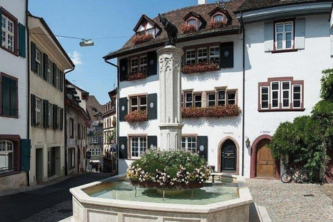 Stadsrondleiding Bazel: de hoogtepuntenStadsrondleiding door Bazel: de hoogtepunten