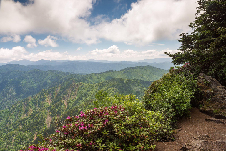From Kampala: 6-Day Gorillas, Chimpanzees and Rwenzori Tour