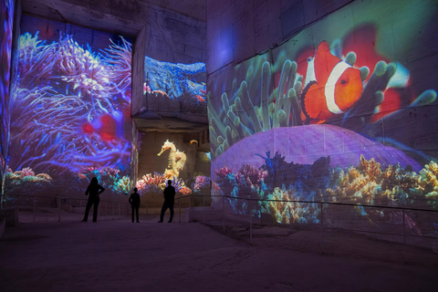 Les Baux-de-Provence: Carrières des Lumières Ocean ticket