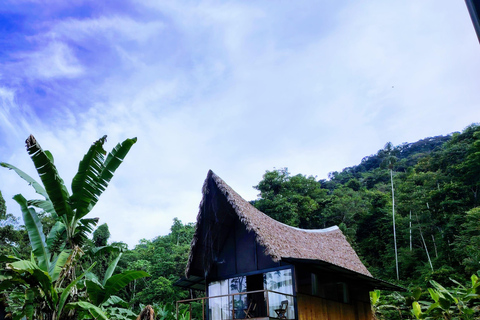 Amazon Wildlife Tour from Cusco–6 Days in the Reserved Zone.