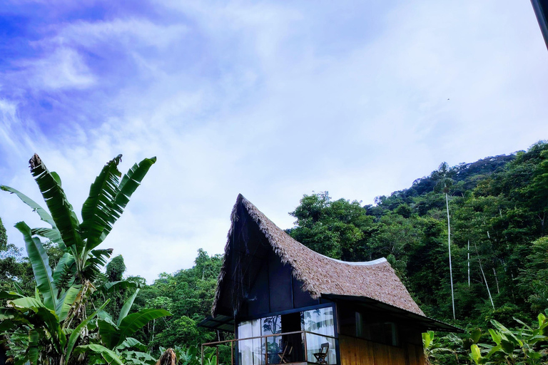 Amazon Wildlife Tour from Cusco–6 Days in the Reserved Zone.