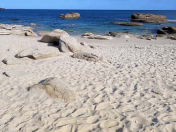 Sophro Balade guidée en Pays Bigouden : Ressourcement en pleine nature