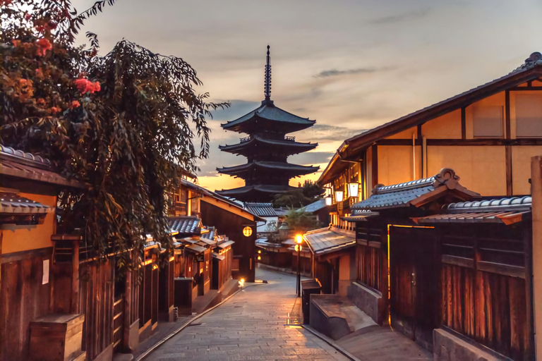 Kyoto & Nara: Custom Private Day Trip with Car & Guide Kyoto & Nara: Upto 12 Pax with Spacious Toyota HiAce