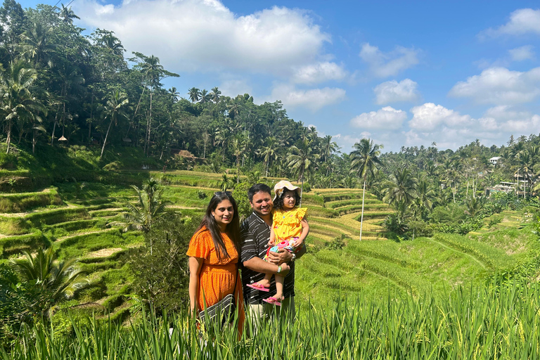 Ubud Waterfall, Temple, Rice Terrace & Art with Transfers