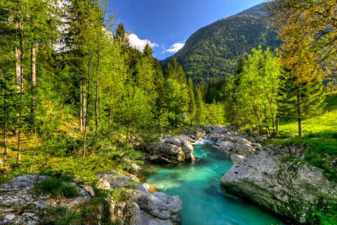 From Ljubljana: Soča river experience