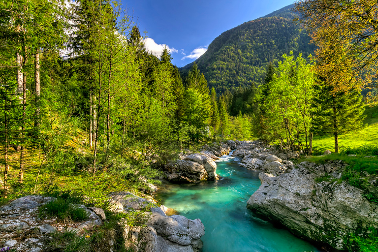 From Ljubljana: Soča river experience
