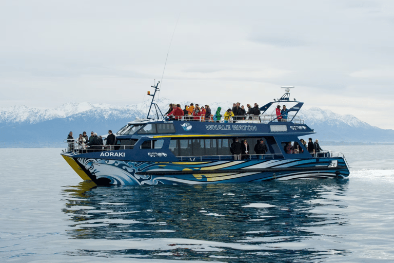 Christchurch: Kaikoura Whale Watching Day Tour