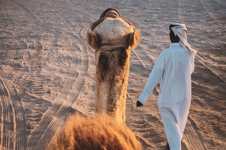 Privado-Doha Medio Día de Safari por el Desierto/Subida a la ArenaSafari de medio día por el desierto