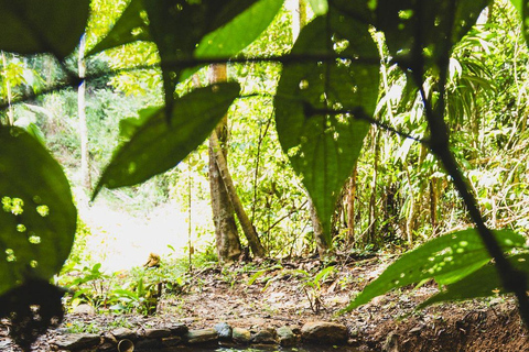 Itacaré: Maraú - 5-Day Silence and Purification Retreat