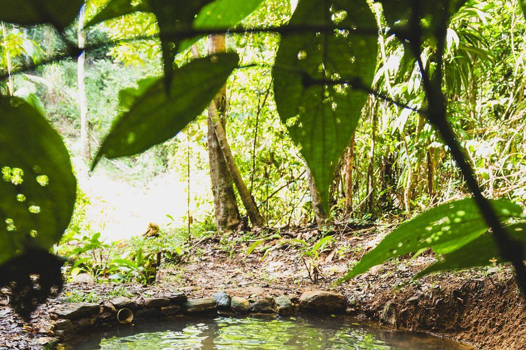 Itacaré: Maraú - 5-Day Silence and Purification Retreat